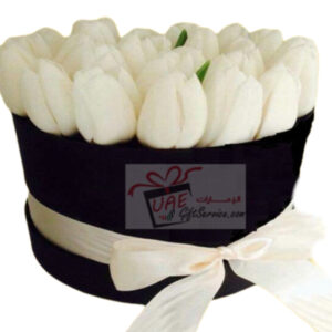 White tulip in black box