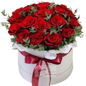 Red flower in white box