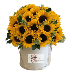 12 Sun flower box